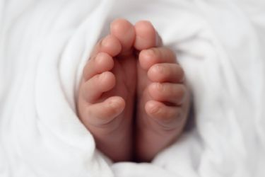 From Father's Hand through Birth - 2 week Zoom - Thursdays - Sept. 11 & 18, 2025 - 10:00 a.m.  ET